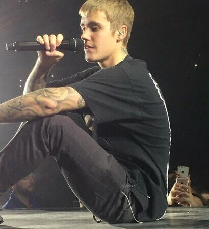 purpose, idol and perfection